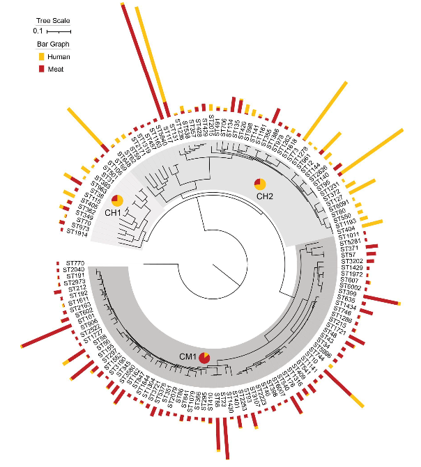 Using Source associated Mobile Genetic Elements To Identify Zoonotic 